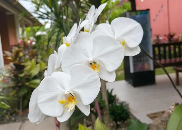 Kubu Semer Badung